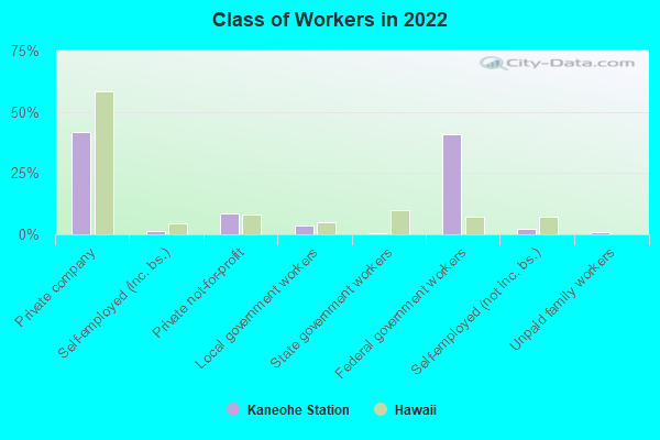 Class of Workers in 2022