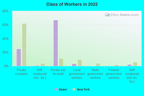 Class of Workers in 2022