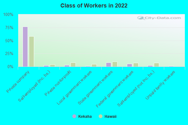 Class of Workers in 2022