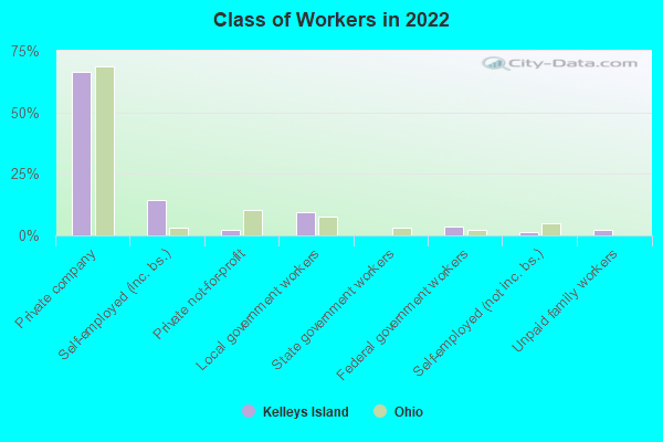 Class of Workers in 2022