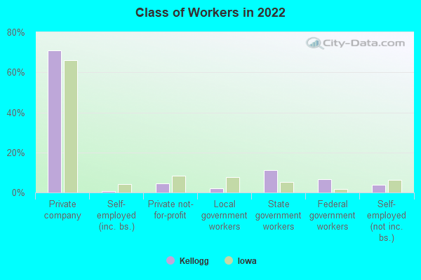 Class of Workers in 2022