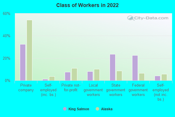 Class of Workers in 2022