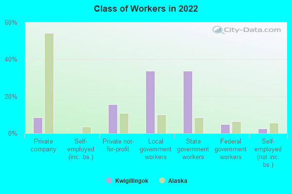 Class of Workers in 2022