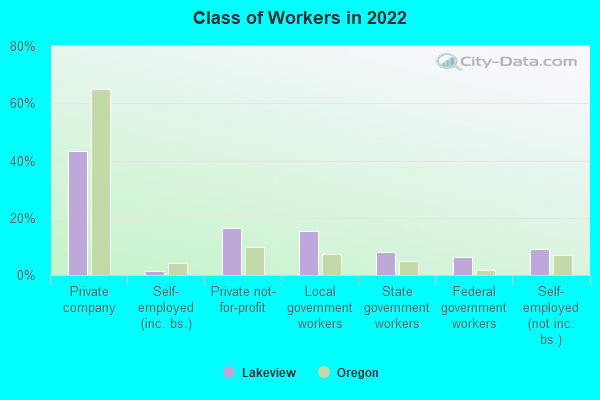 Class of Workers in 2022