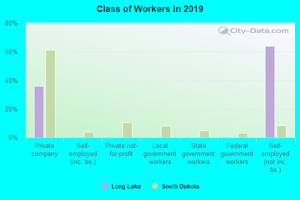 Class of Workers in 2022