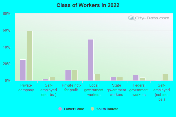 Class of Workers in 2022