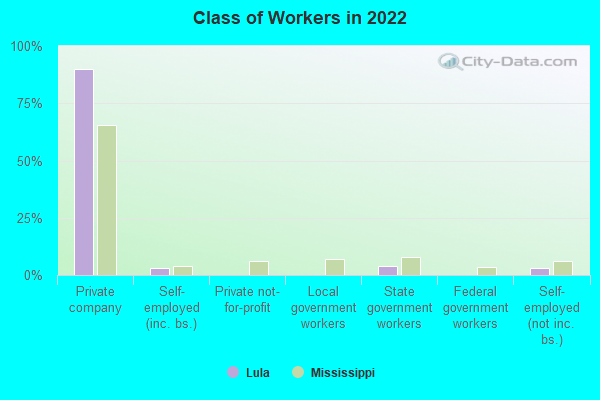 Class of Workers in 2022