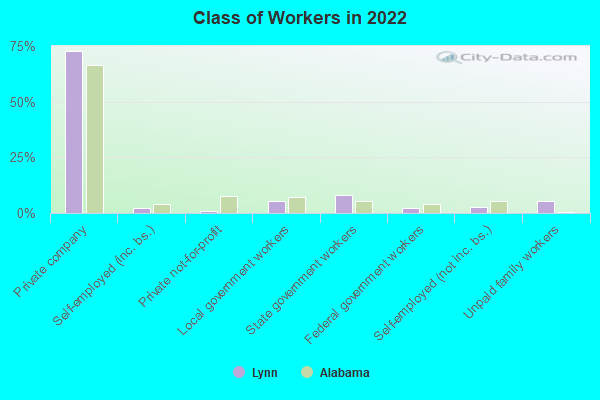 Class of Workers in 2022