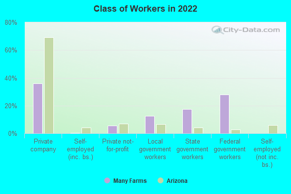 Class of Workers in 2022