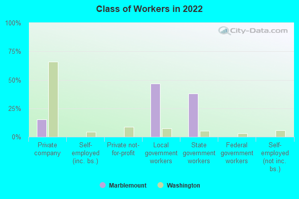 Class of Workers in 2022