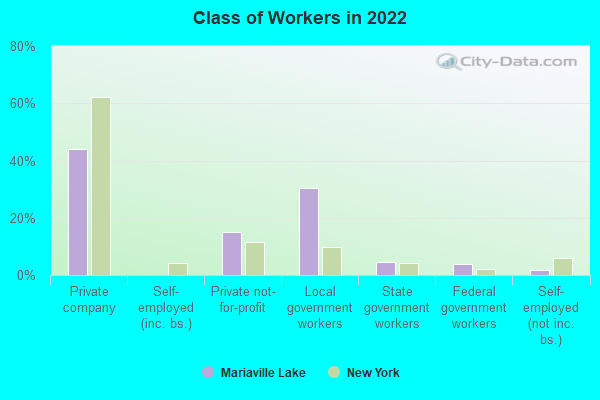 Class of Workers in 2022