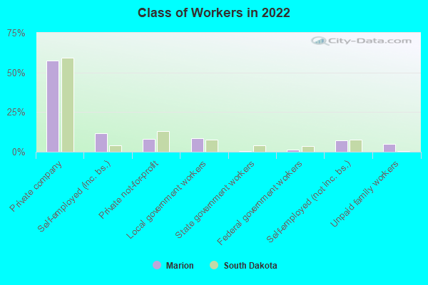 Class of Workers in 2022