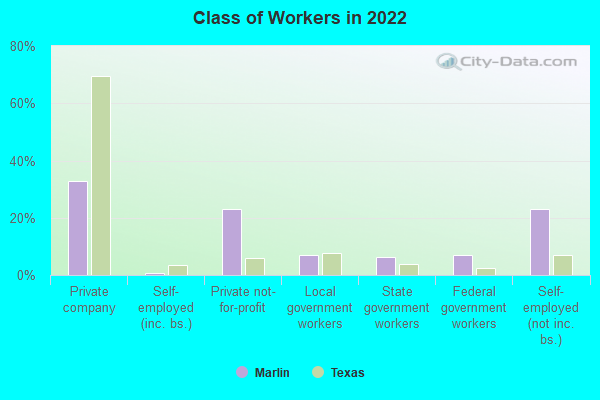 Class of Workers in 2022