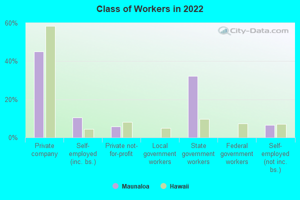 Class of Workers in 2022