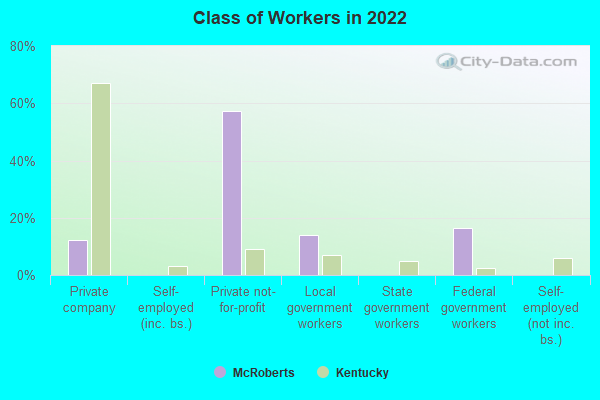 Class of Workers in 2022