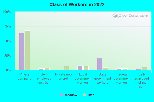 Class of Workers in 2022