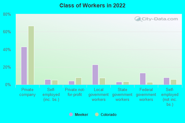 Class of Workers in 2022