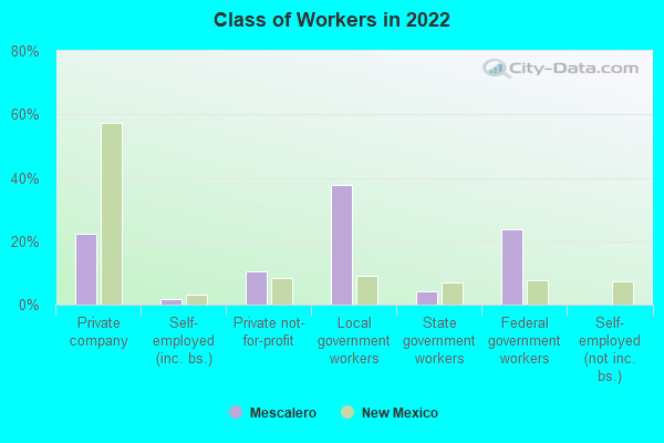 Class of Workers in 2022