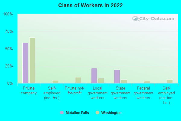 Class of Workers in 2022