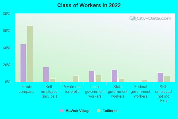 Class of Workers in 2022