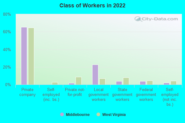 Class of Workers in 2022