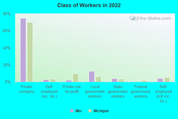 Class of Workers in 2022