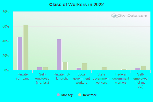 Class of Workers in 2022