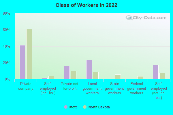 Class of Workers in 2022