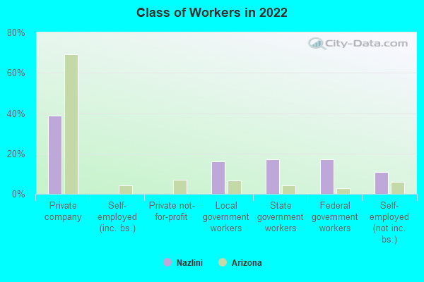 Class of Workers in 2022