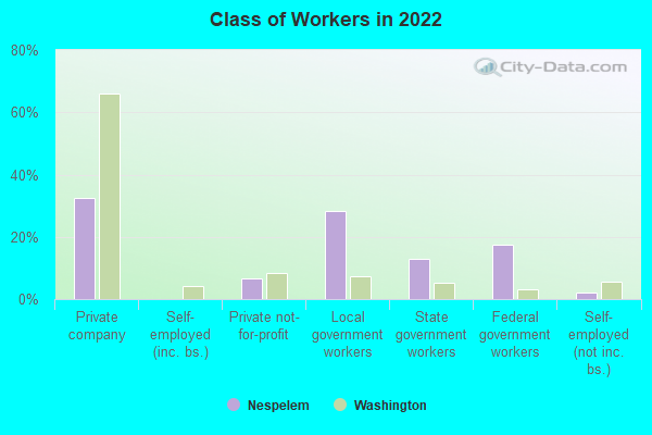 Class of Workers in 2022