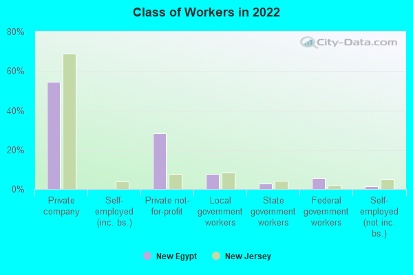 Class of Workers in 2022