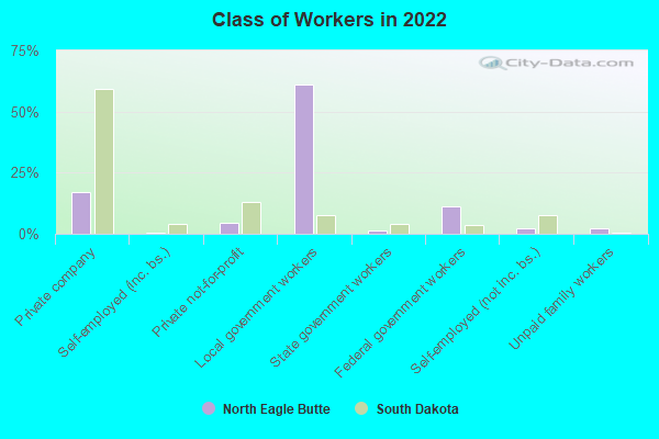 Class of Workers in 2022