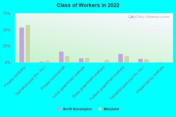 Class of Workers in 2022