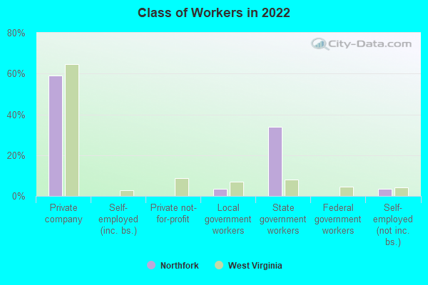 Class of Workers in 2022