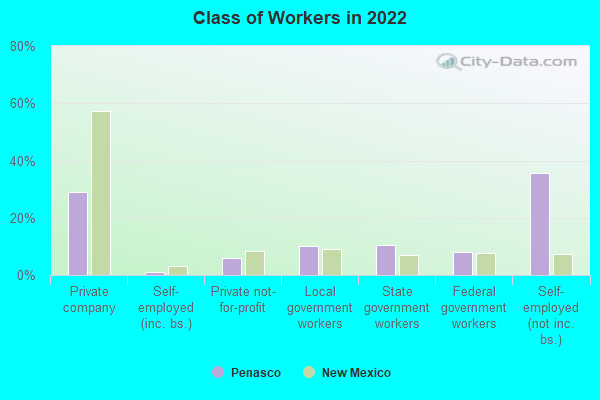 Class of Workers in 2022