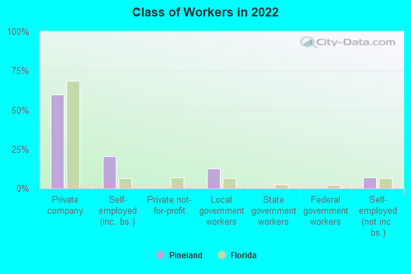 Class of Workers in 2022