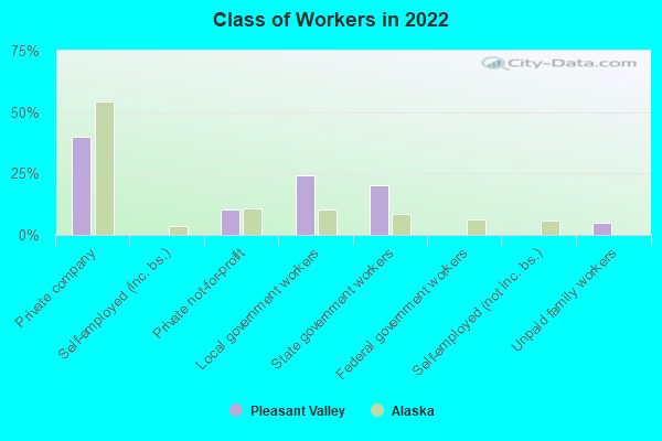 Class of Workers in 2022