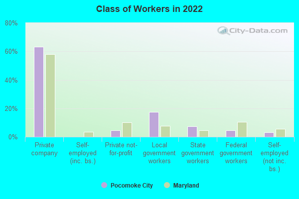 Class of Workers in 2022