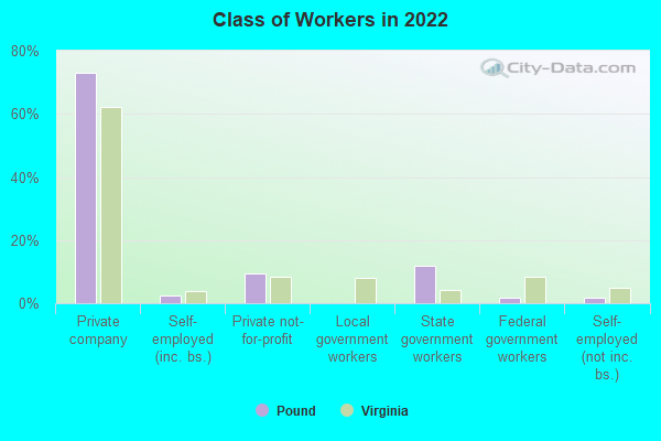 Class of Workers in 2022