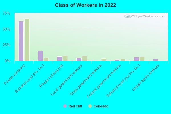 Class of Workers in 2022