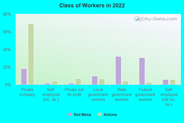 Class of Workers in 2022