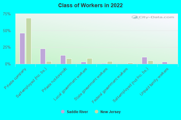 Class of Workers in 2022