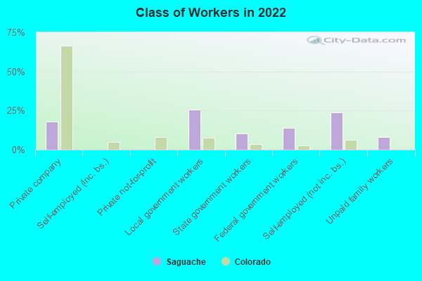 Class of Workers in 2022