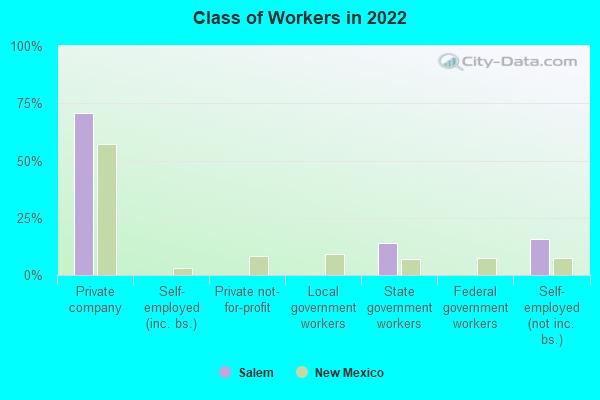 Class of Workers in 2022