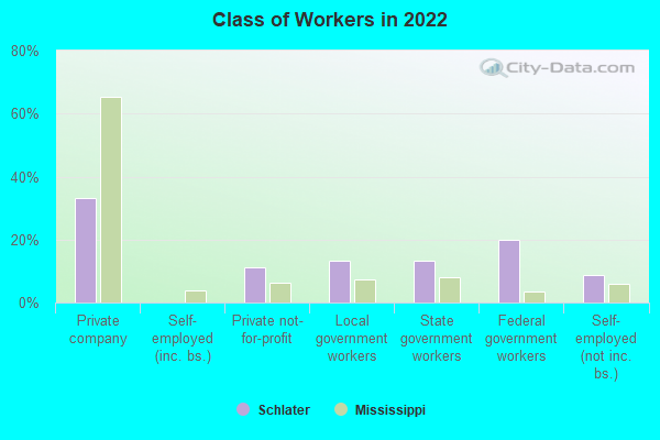 Class of Workers in 2022