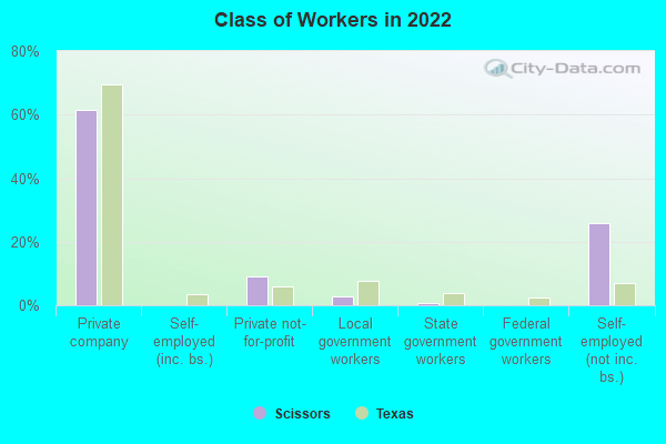 Class of Workers in 2022