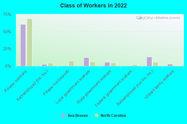 Class of Workers in 2022