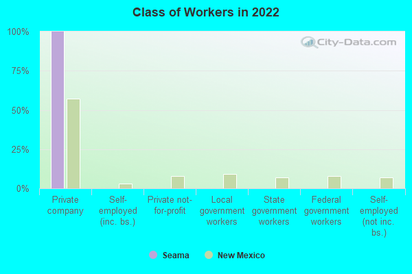 Class of Workers in 2022