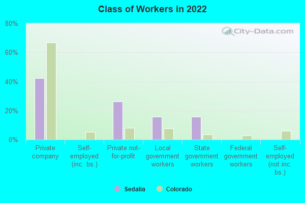 Class of Workers in 2022