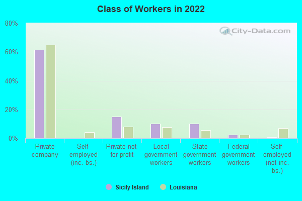 Class of Workers in 2022